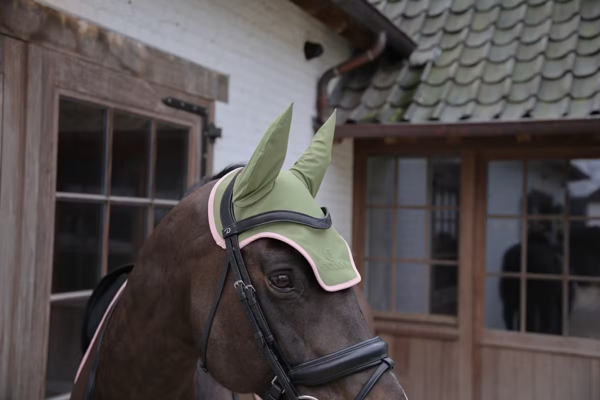 Kentucky Fly Veil Wellington Softshell