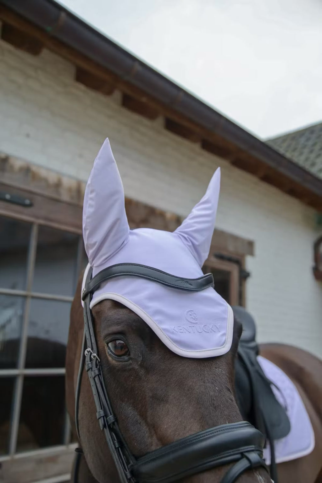 Kentucky Fly Veil Wellington Softshell - Løwenborg - Kentucky Horsewear