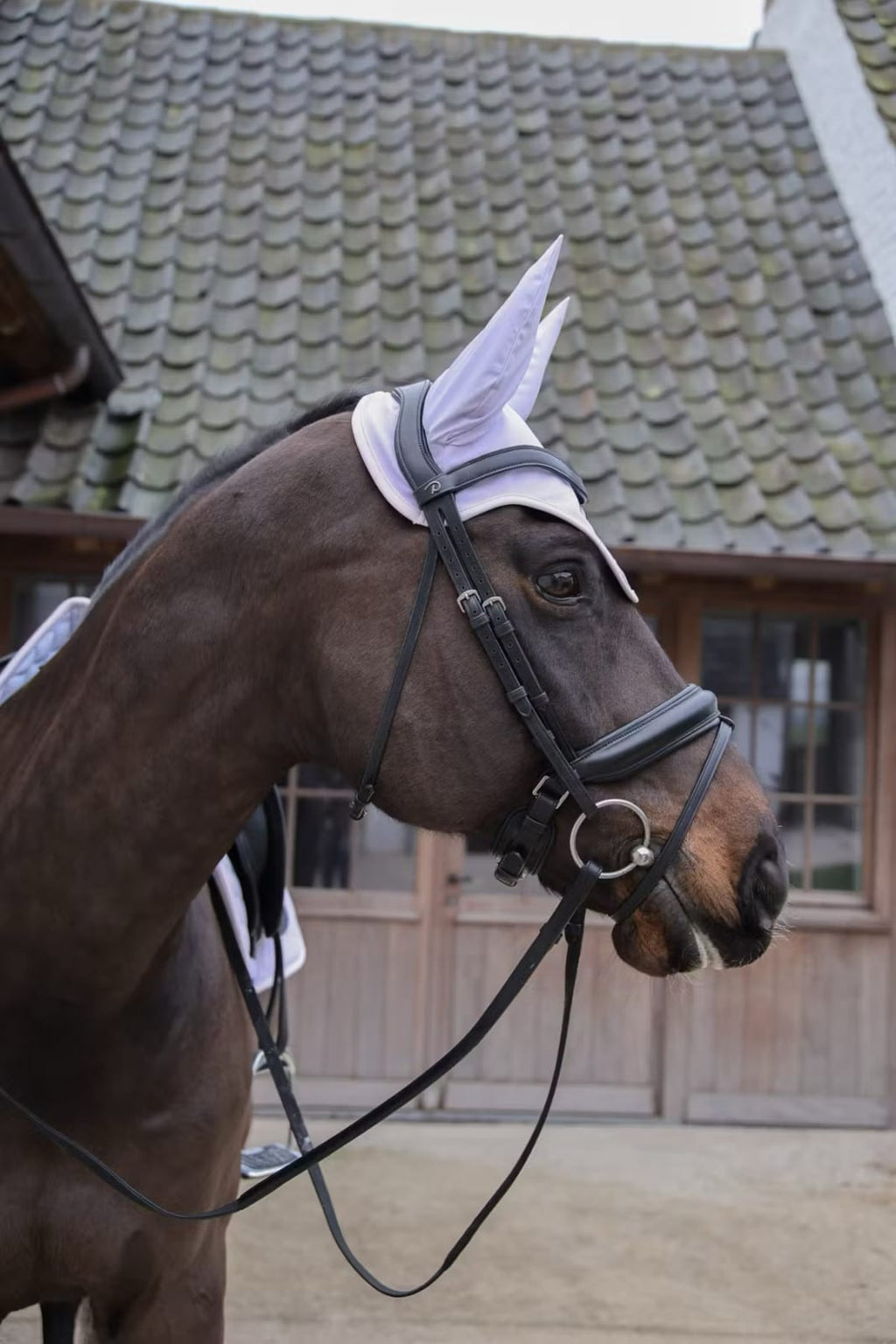 Kentucky Fly Veil Wellington Softshell - Løwenborg - Kentucky Horsewear