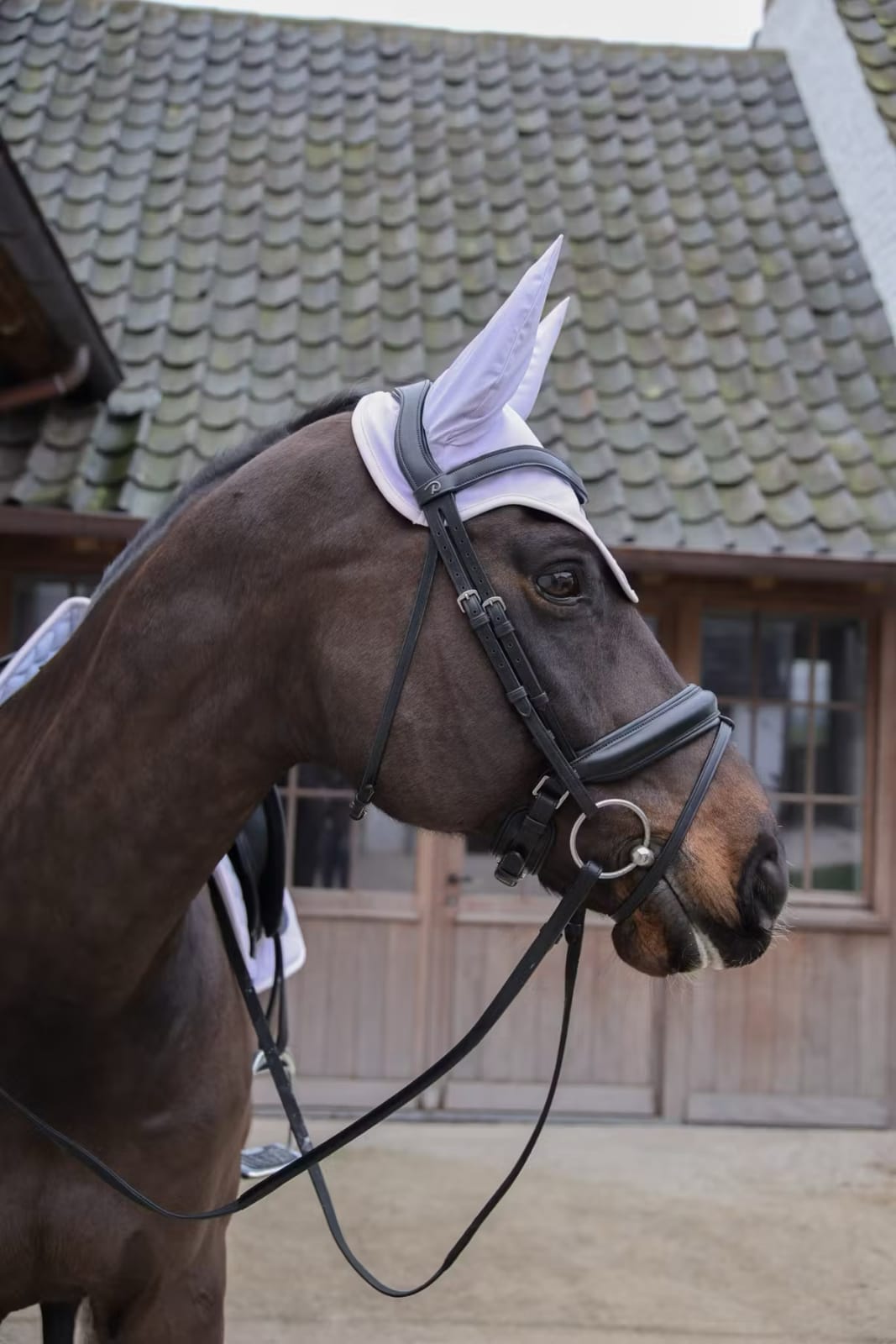Kentucky Fly Veil Wellington Softshell - Løwenborg - Kentucky Horsewear