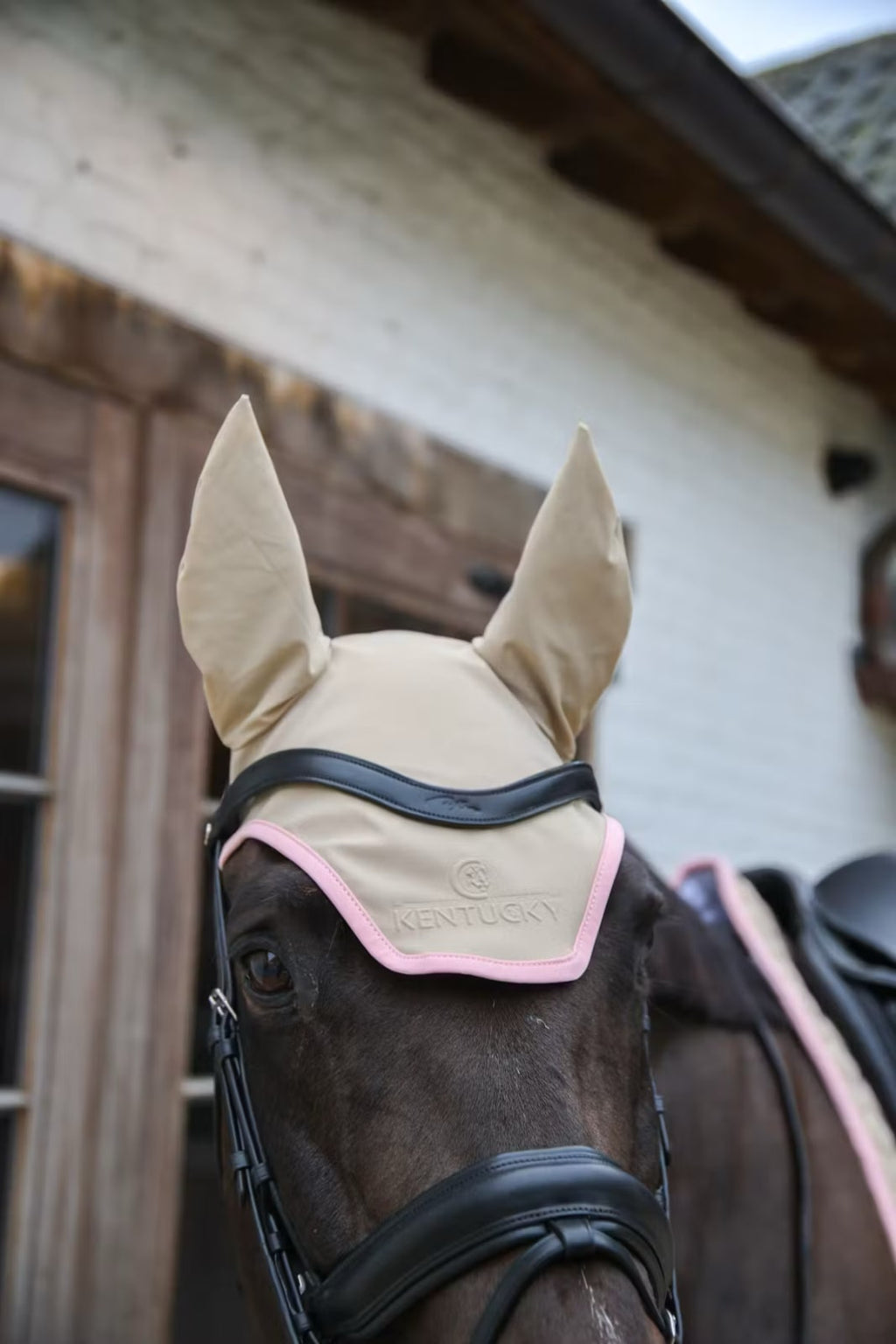Kentucky Fly Veil Wellington Softshell - Løwenborg - Kentucky Horsewear
