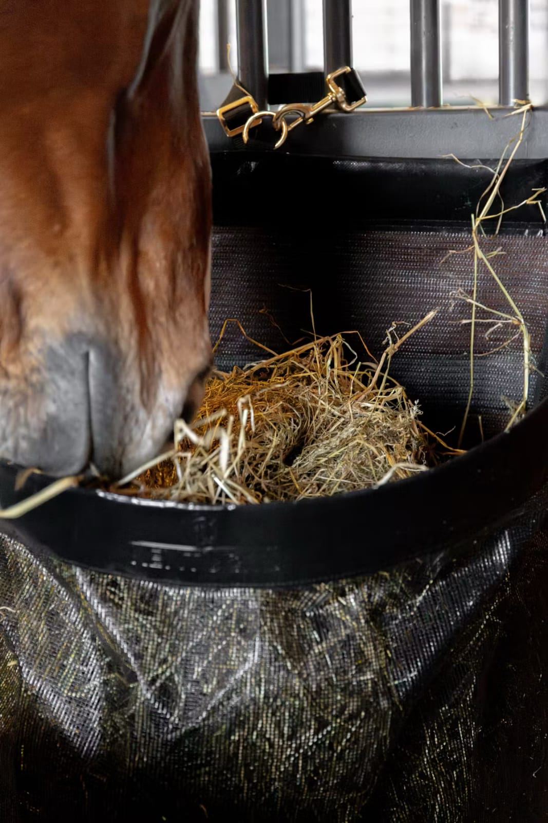 Kentucky Hay Bag Straight - Løwenborg - Kentucky Horsewear