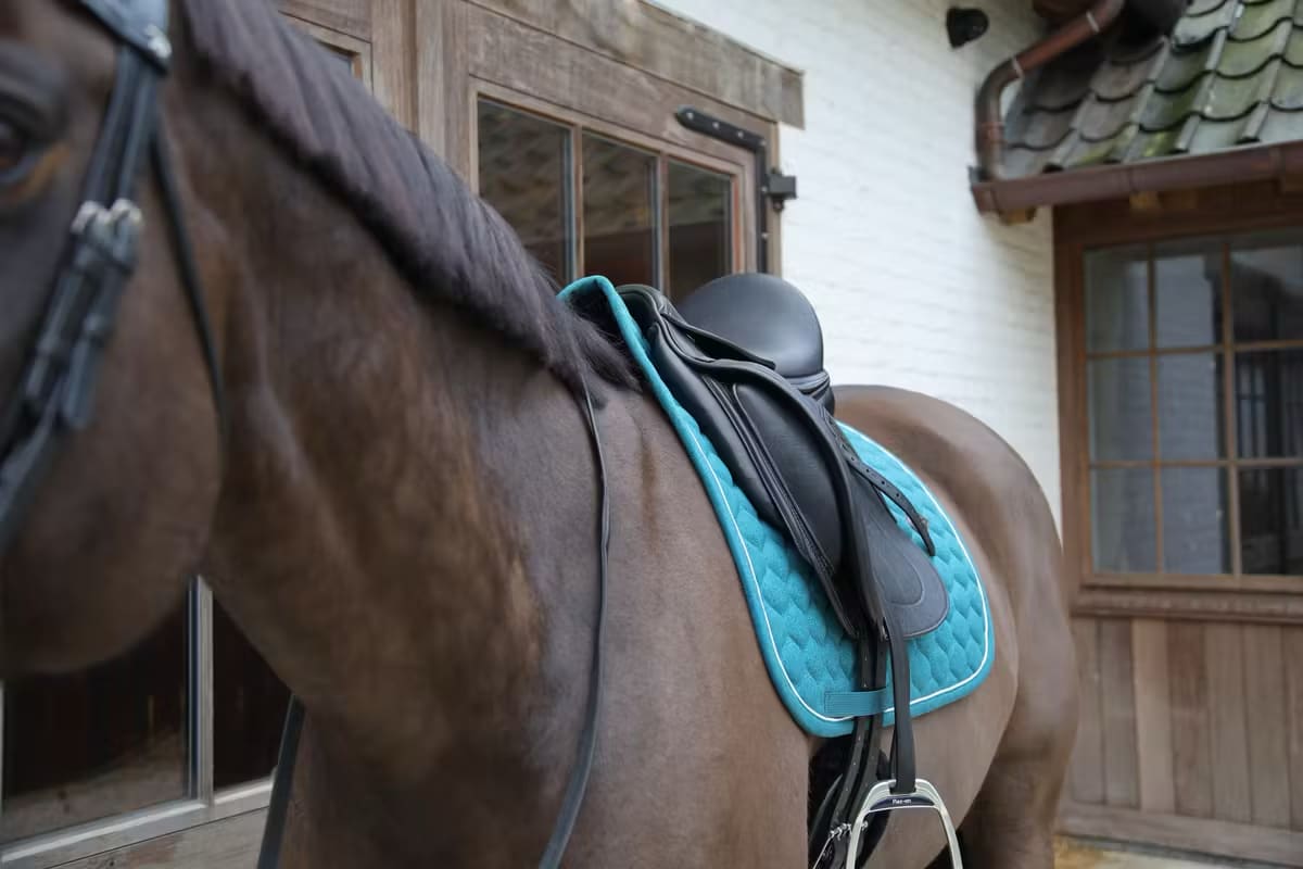Kentucky Saddle Pad Melange Dressage - Løwenborg - Kentucky Horsewear