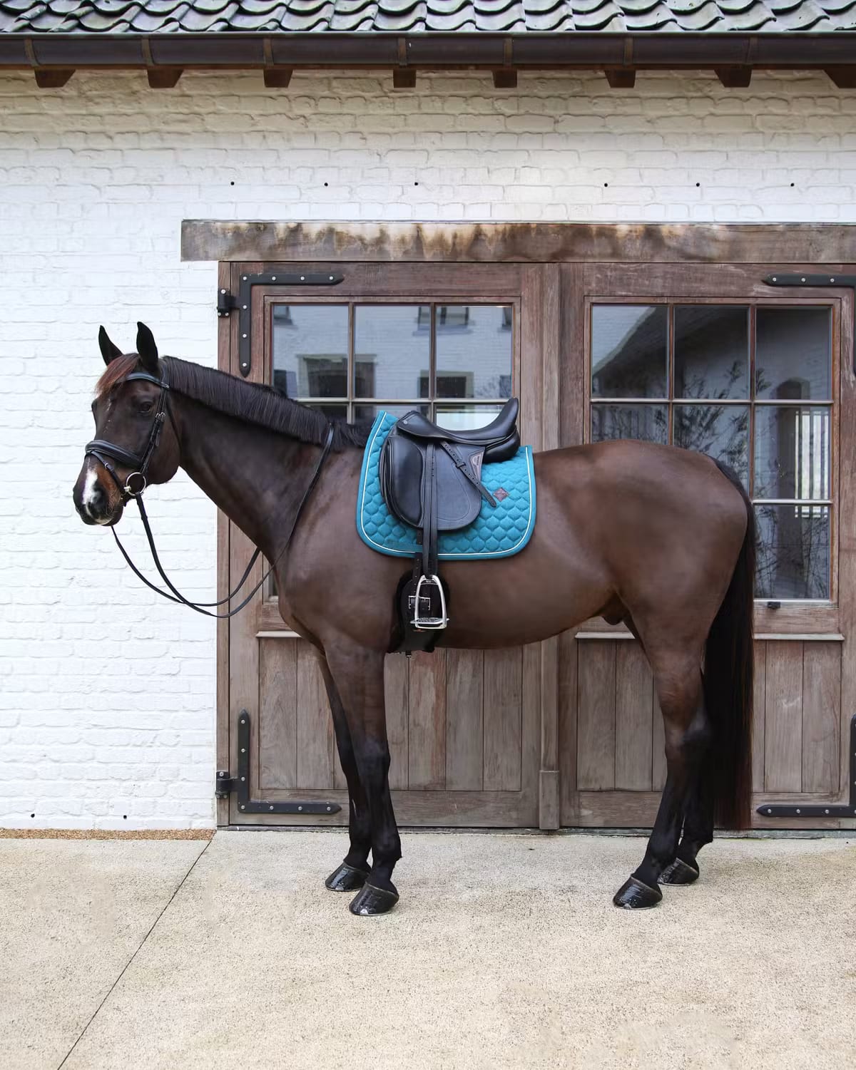 Kentucky Saddle Pad Melange Dressage - Løwenborg - Kentucky Horsewear