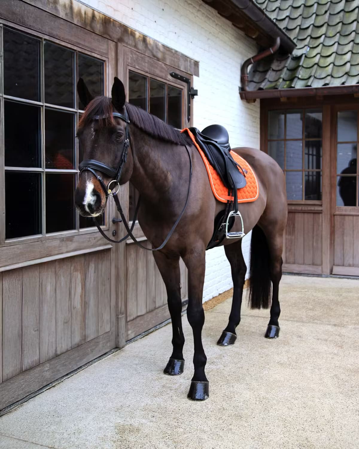 Kentucky Saddle Pad Melange Dressage - Løwenborg - Kentucky Horsewear