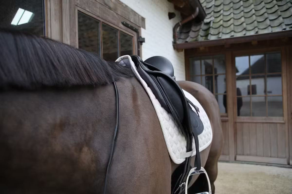 Kentucky Saddle Pad Melange Dressage - Løwenborg - Kentucky Horsewear