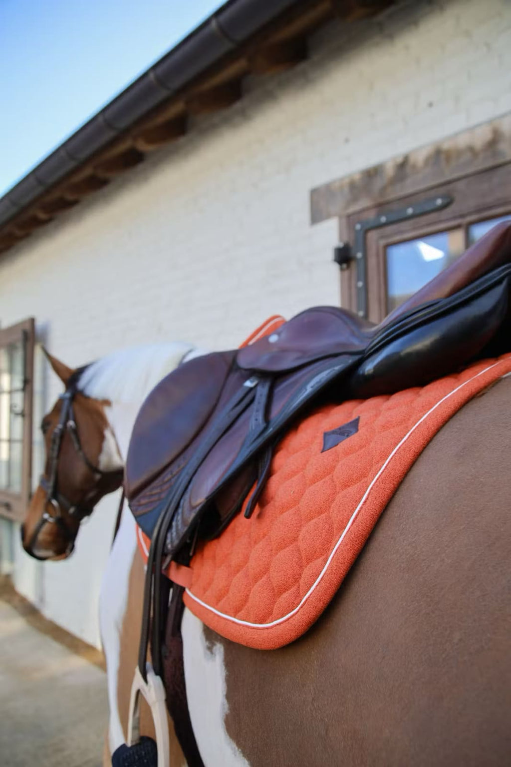 Kentucky Saddle Pad Melange Jumping - Løwenborg - Kentucky Horsewear