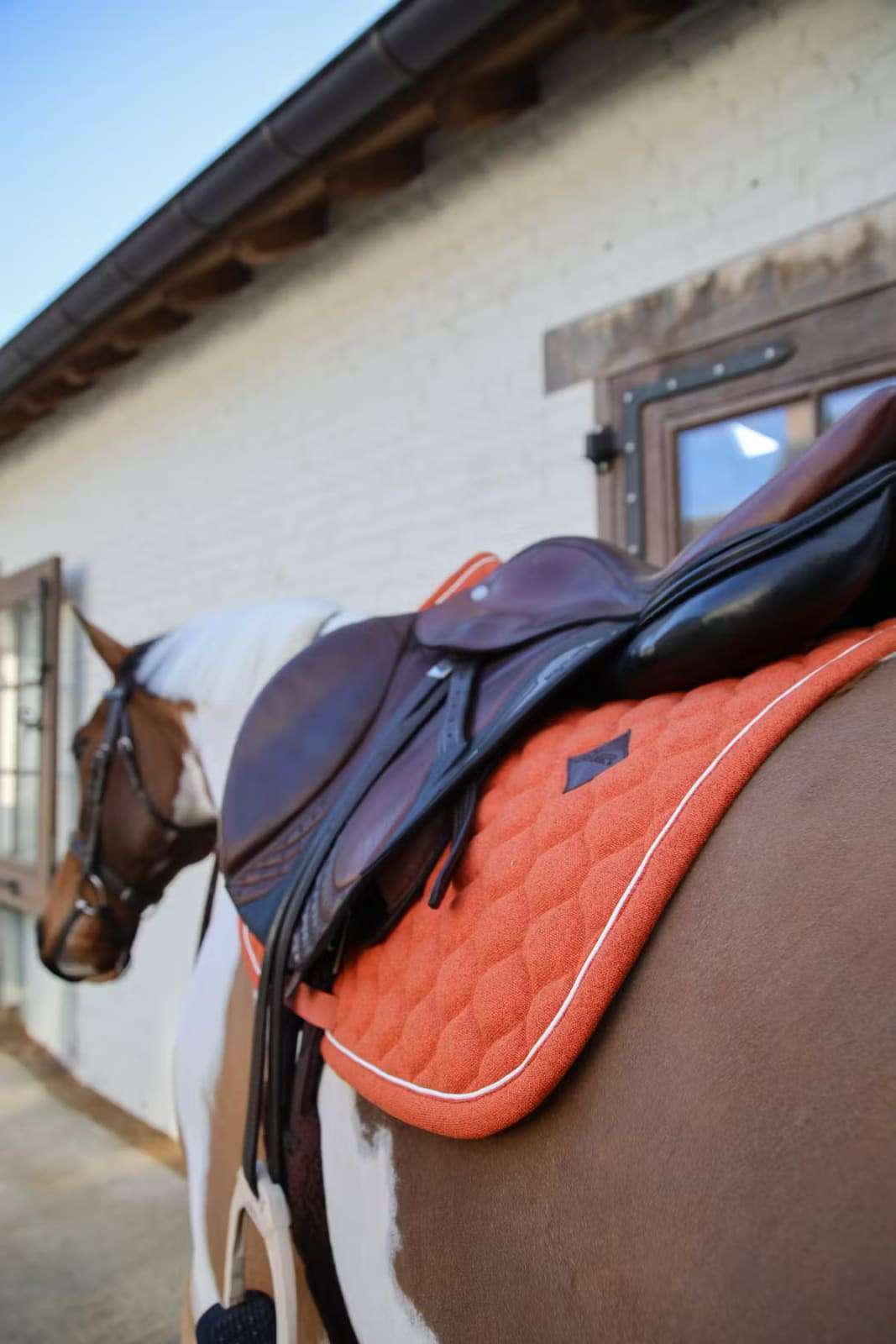 Kentucky Saddle Pad Melange Jumping - Løwenborg - Kentucky Horsewear