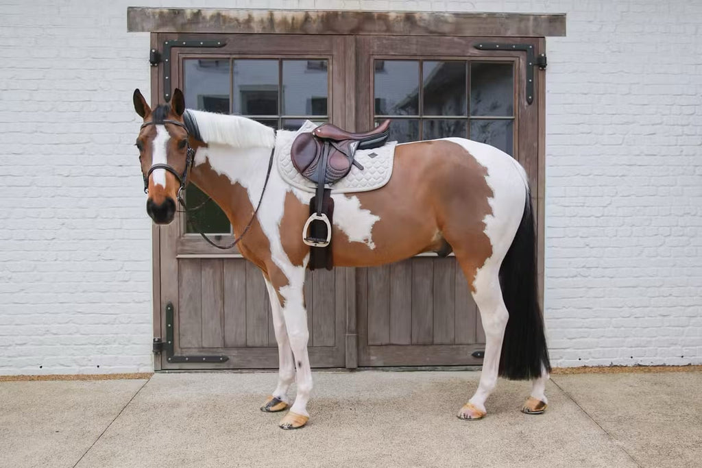 Kentucky Saddle Pad Melange Jumping - Løwenborg - Kentucky Horsewear