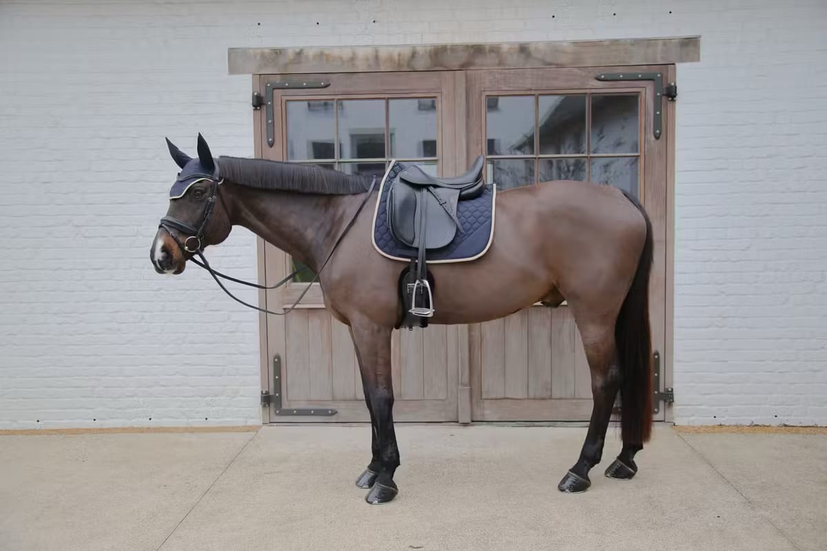 Kentucky Saddle Pad Softshell Onion Quilt Dressage - Løwenborg - Kentucky Horsewear