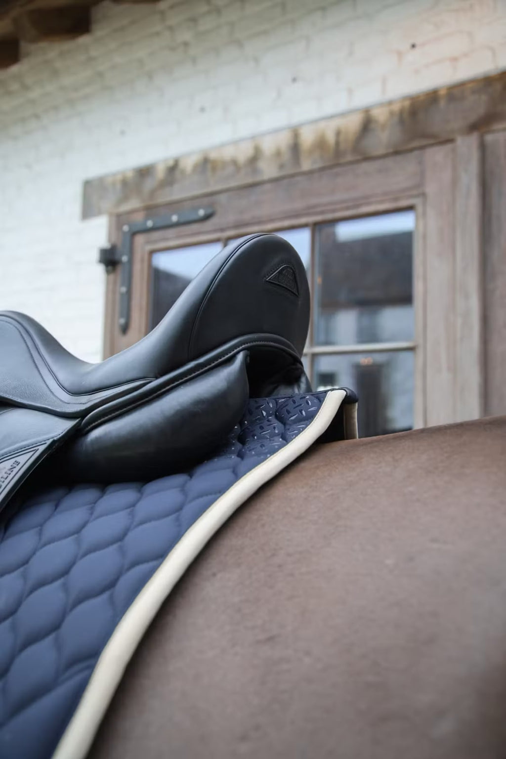 Kentucky Saddle Pad Softshell Onion Quilt Dressage - Løwenborg - Kentucky Horsewear