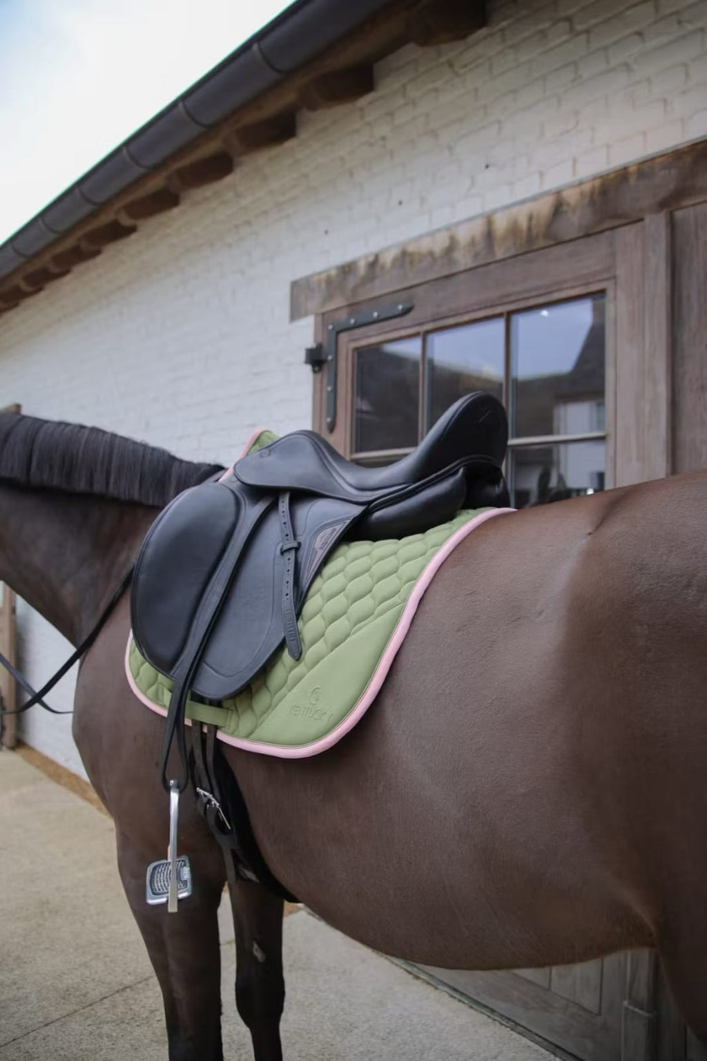 Kentucky Saddle Pad Softshell Onion Quilt Dressage - Løwenborg - Kentucky Horsewear