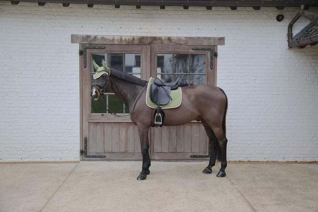 Kentucky Saddle Pad Softshell Onion Quilt Dressage - Løwenborg - Kentucky Horsewear