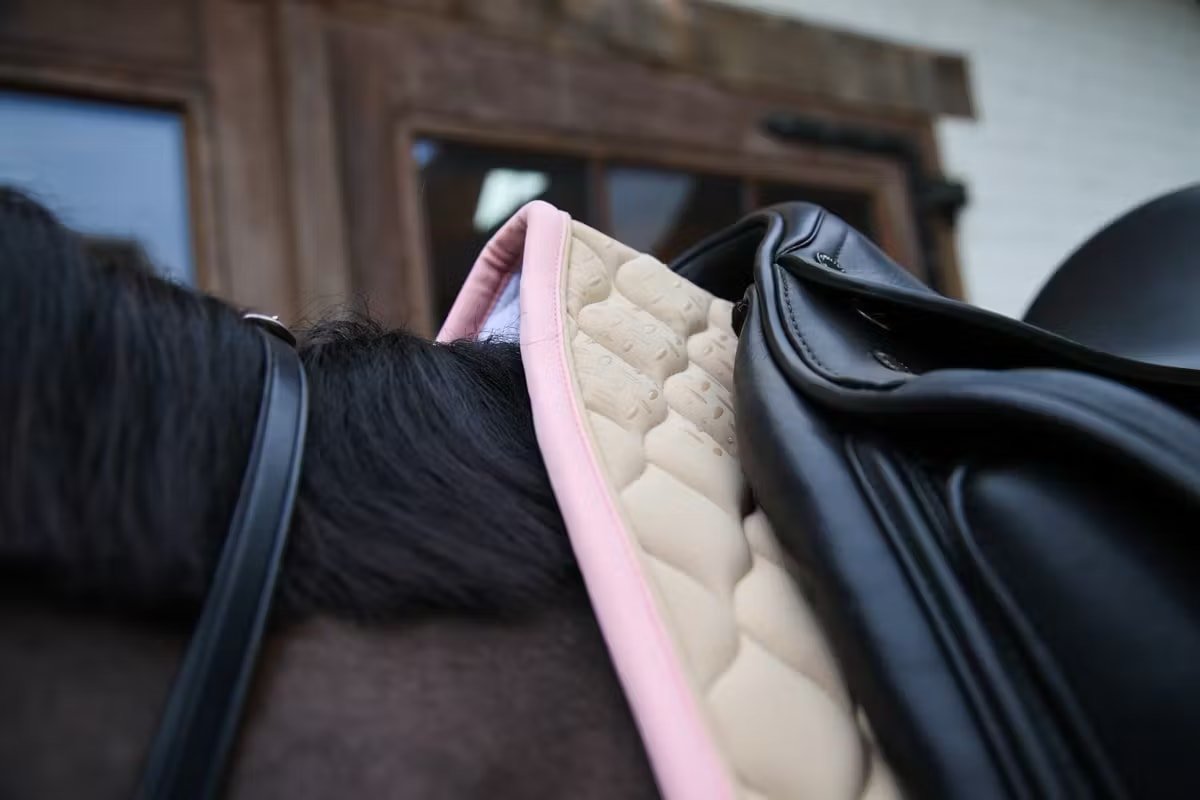Kentucky Saddle Pad Softshell Onion Quilt Dressage - Løwenborg - Kentucky Horsewear