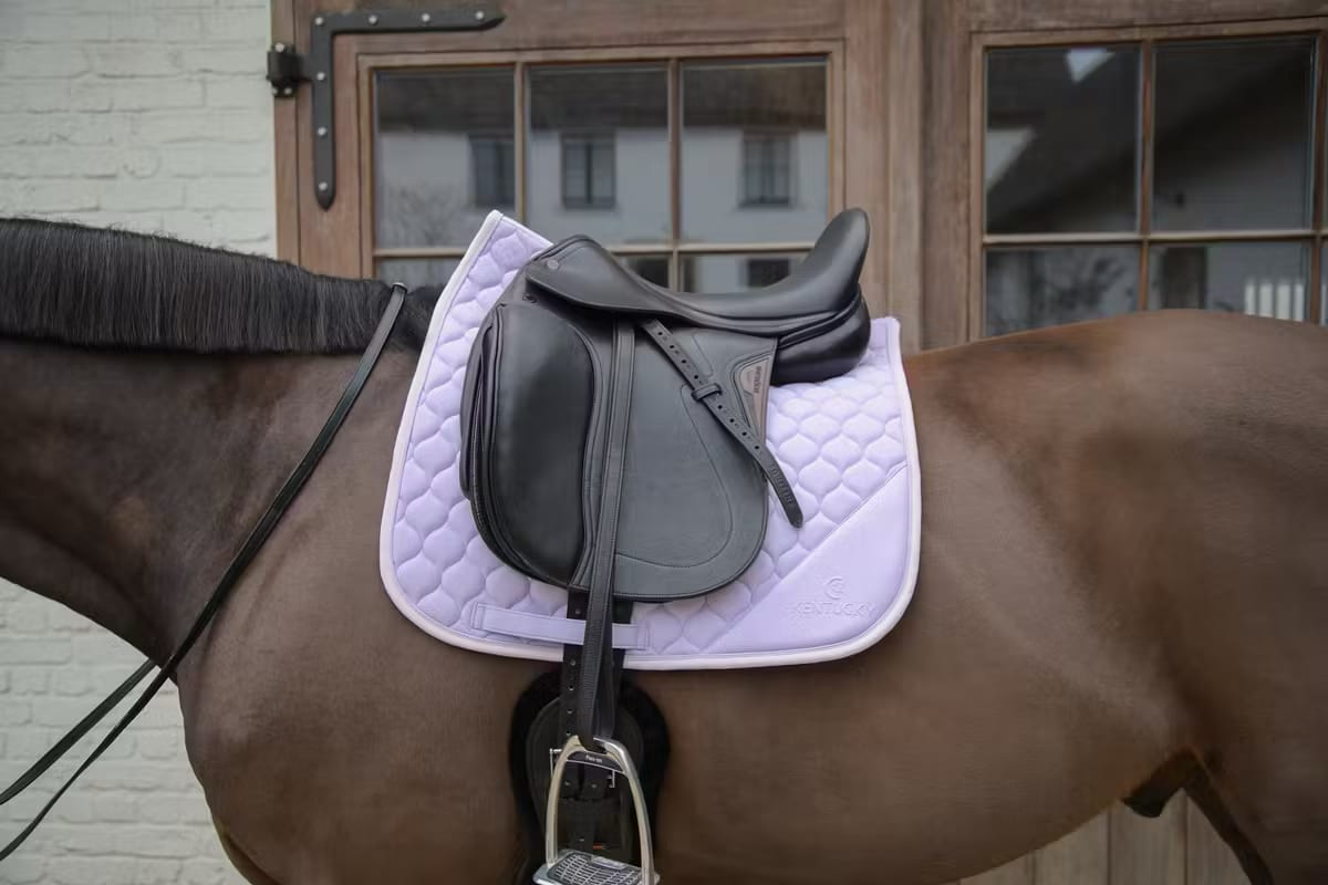 Kentucky Saddle Pad Softshell Onion Quilt Dressage - Løwenborg - Kentucky Horsewear
