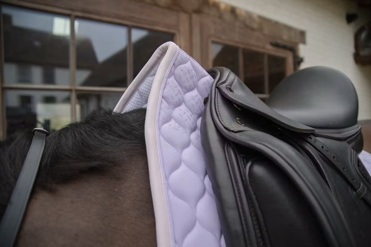 Kentucky Saddle Pad Softshell Onion Quilt Dressage - Løwenborg - Kentucky Horsewear