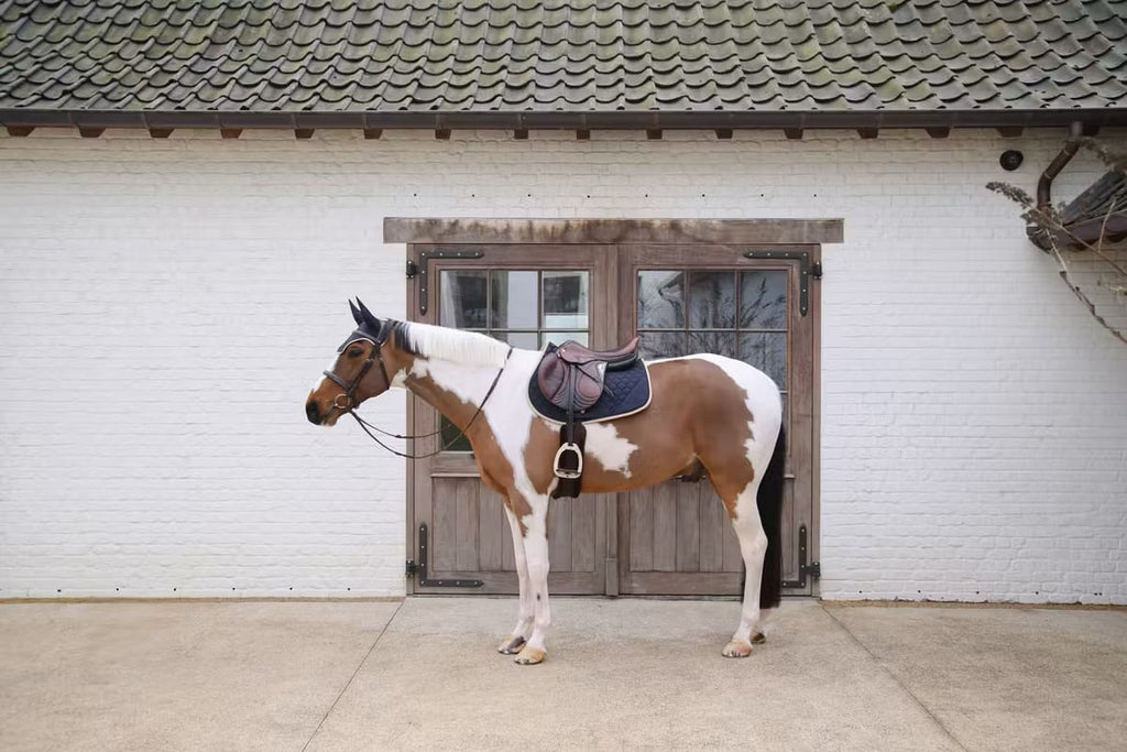 Kentucky Saddle Pad Softshell Onion Quilt Jumping - Løwenborg - Kentucky Horsewear