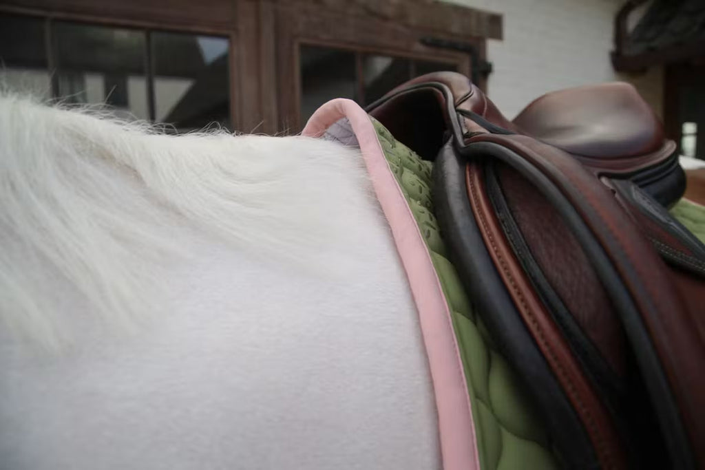 Kentucky Saddle Pad Softshell Onion Quilt Jumping - Løwenborg - Kentucky Horsewear