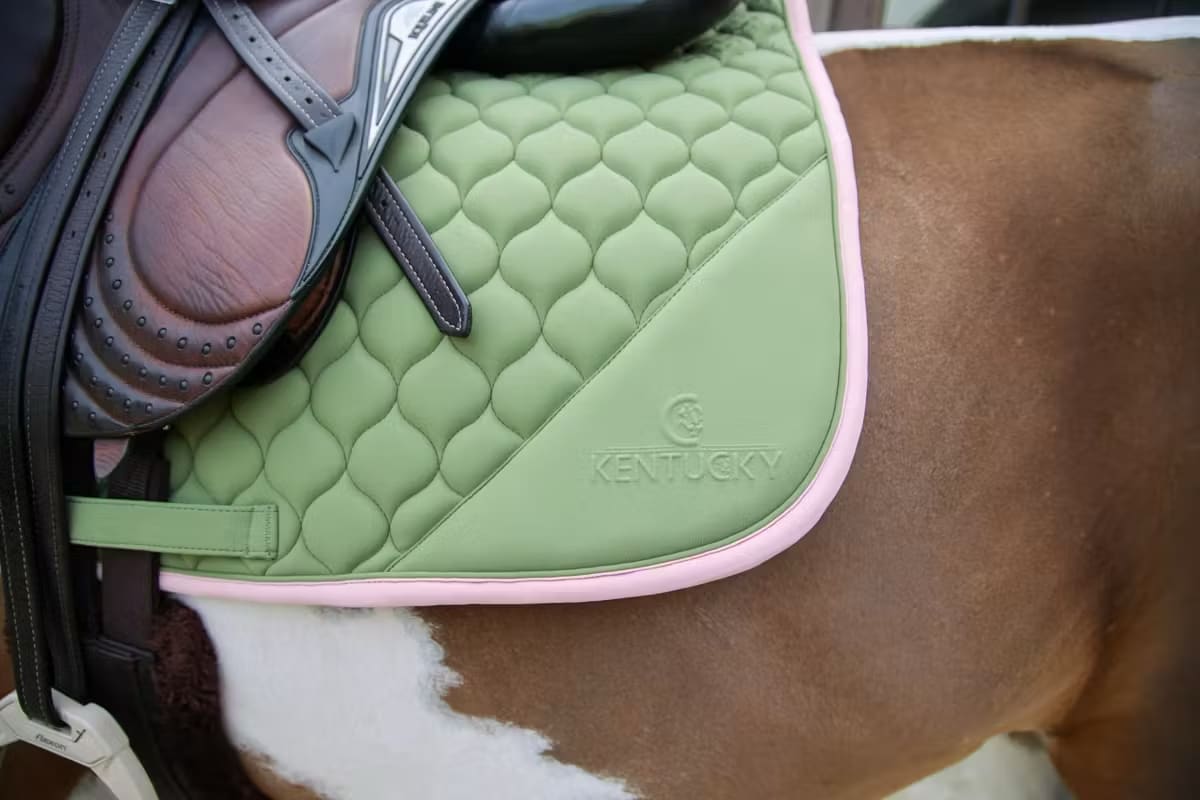 Kentucky Saddle Pad Softshell Onion Quilt Jumping - Løwenborg - Kentucky Horsewear