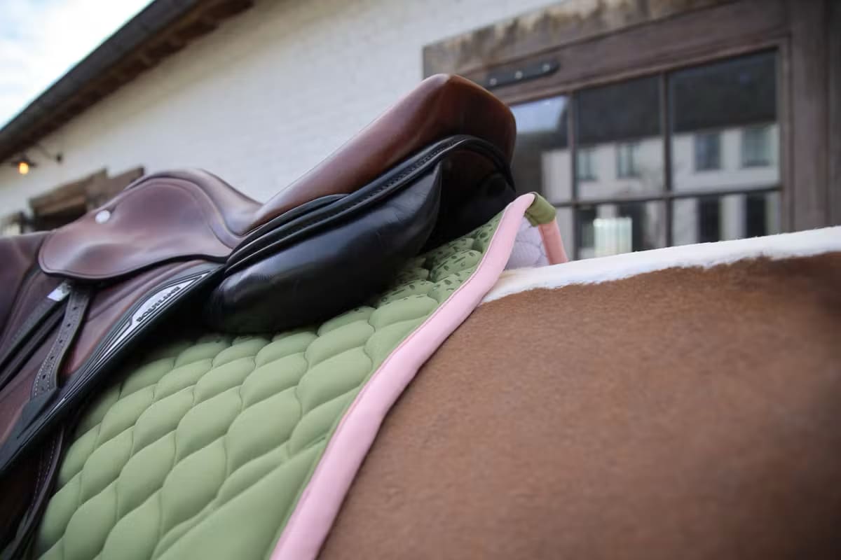 Kentucky Saddle Pad Softshell Onion Quilt Jumping - Løwenborg - Kentucky Horsewear
