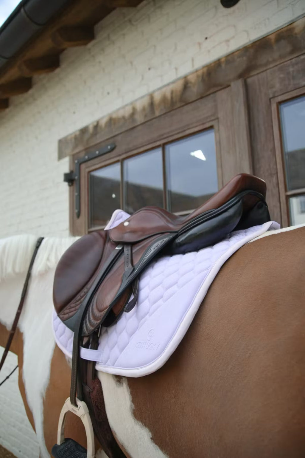 Kentucky Saddle Pad Softshell Onion Quilt Jumping - Løwenborg - Kentucky Horsewear