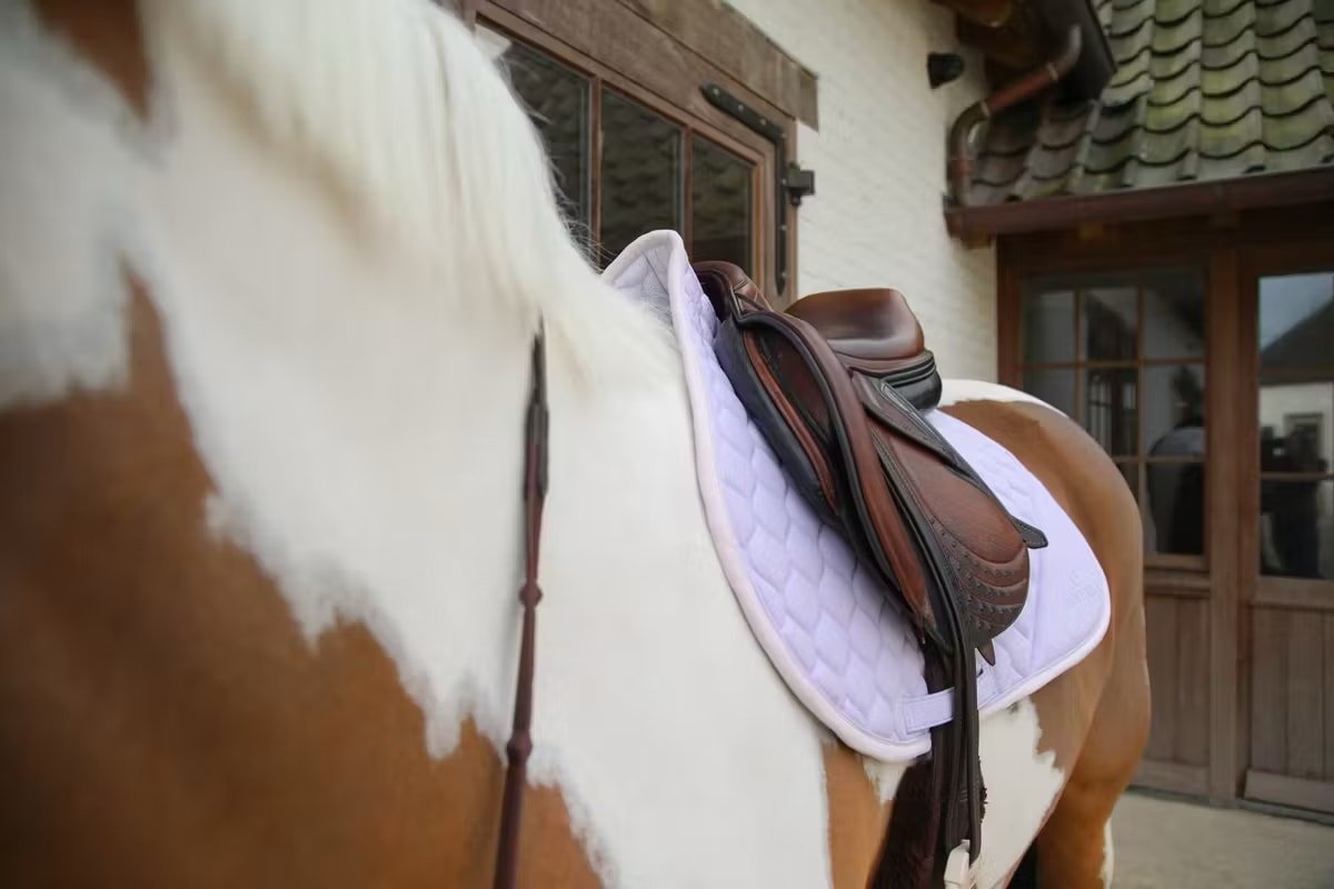 Kentucky Saddle Pad Softshell Onion Quilt Jumping - Løwenborg - Kentucky Horsewear