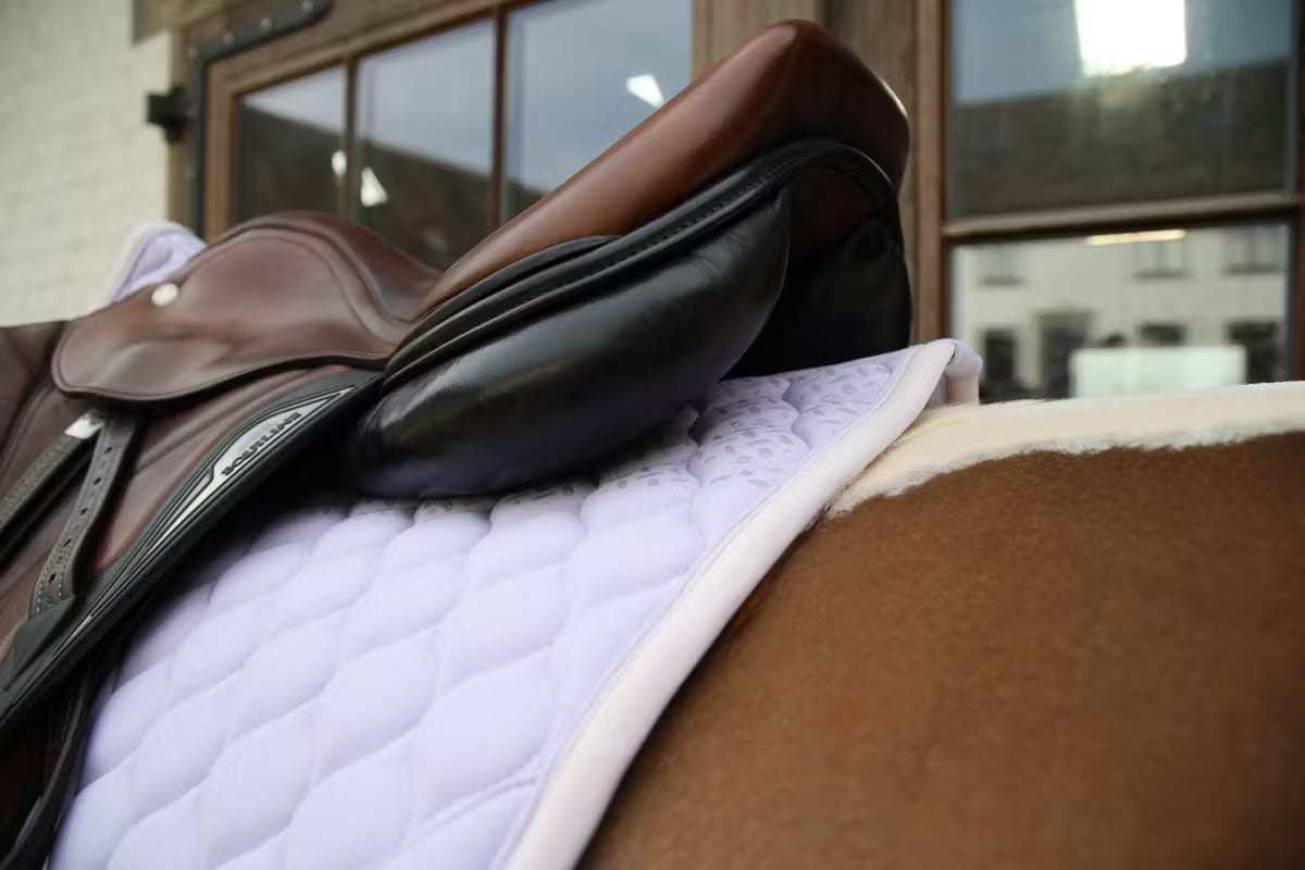 Kentucky Saddle Pad Softshell Onion Quilt Jumping - Løwenborg - Kentucky Horsewear