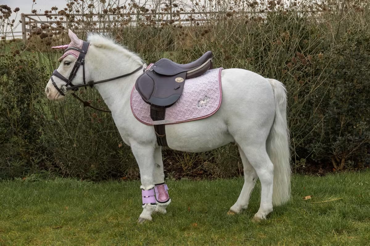 Kentucky Saddle Pad Unicorn Head Glitter Jumping - Løwenborg - Kentucky Horsewear
