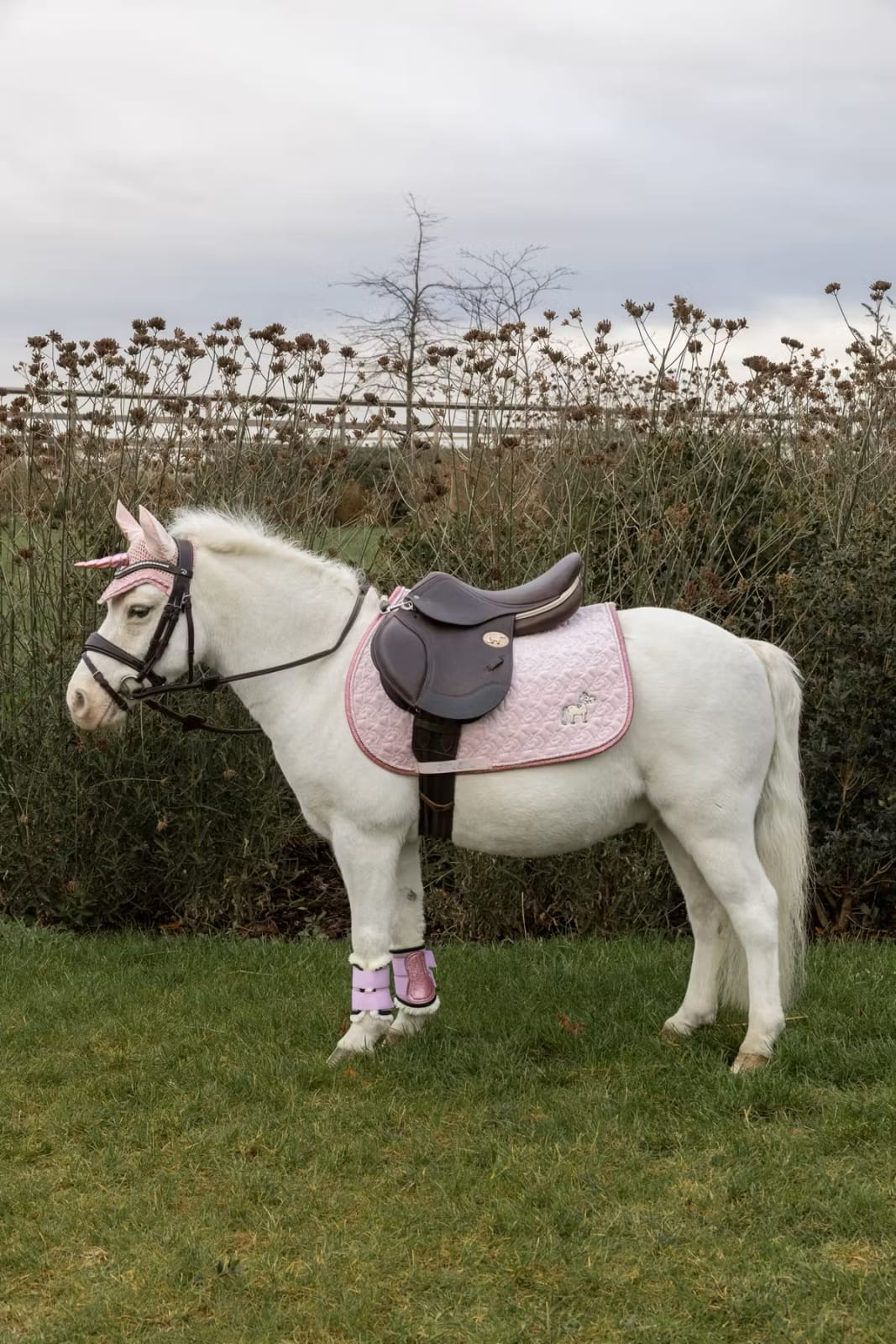 Kentucky Saddle Pad Unicorn Head Glitter Jumping - Løwenborg - Kentucky Horsewear