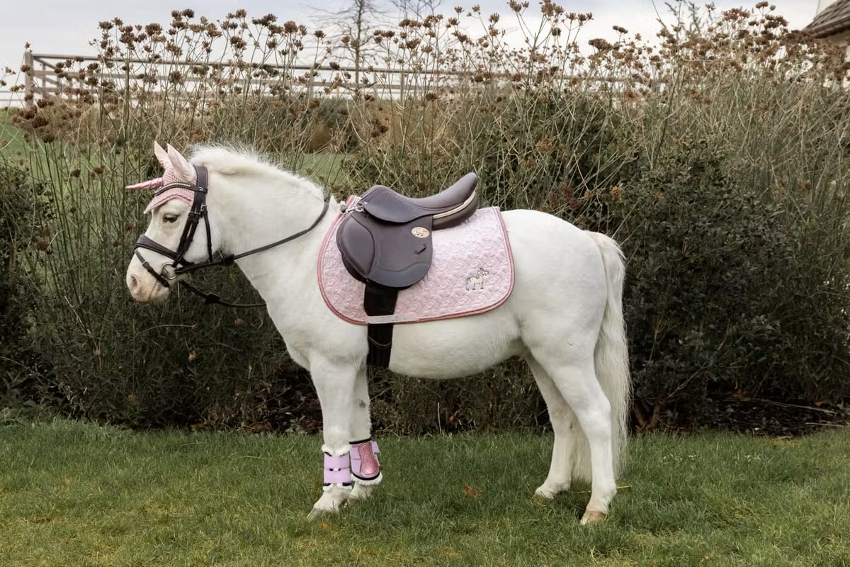 Kentucky Saddle Pad Unicorn Head Glitter Jumping - Løwenborg - Kentucky Horsewear