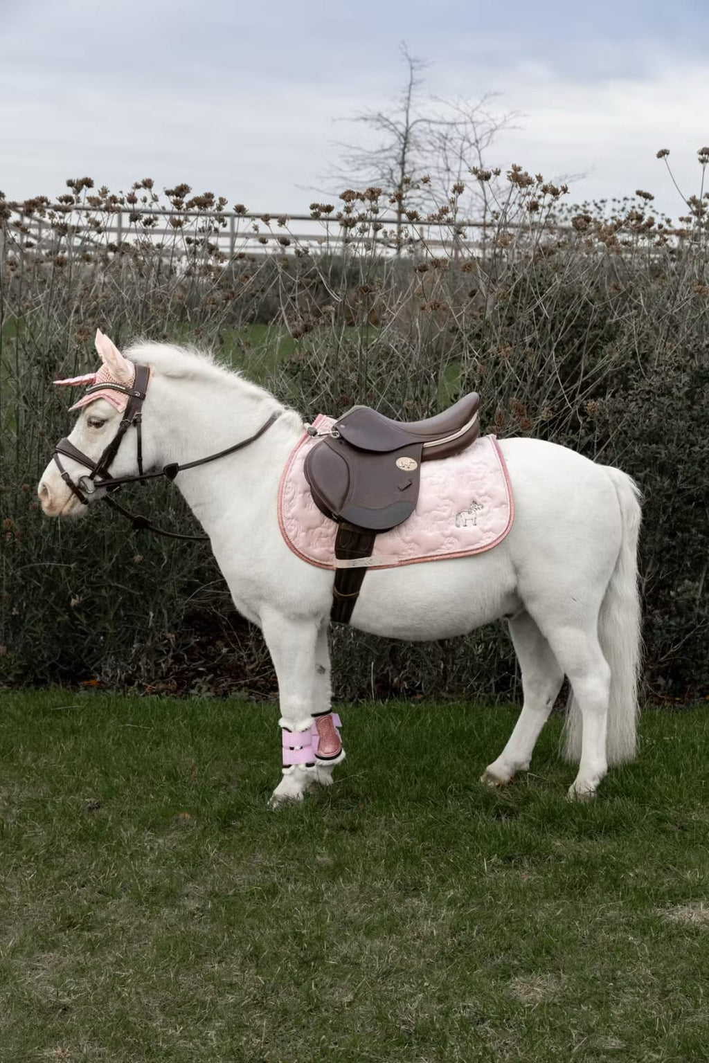 Kentucky Saddle Pad Unicorn Glitter Jumping - Løwenborg - Kentucky Horsewear