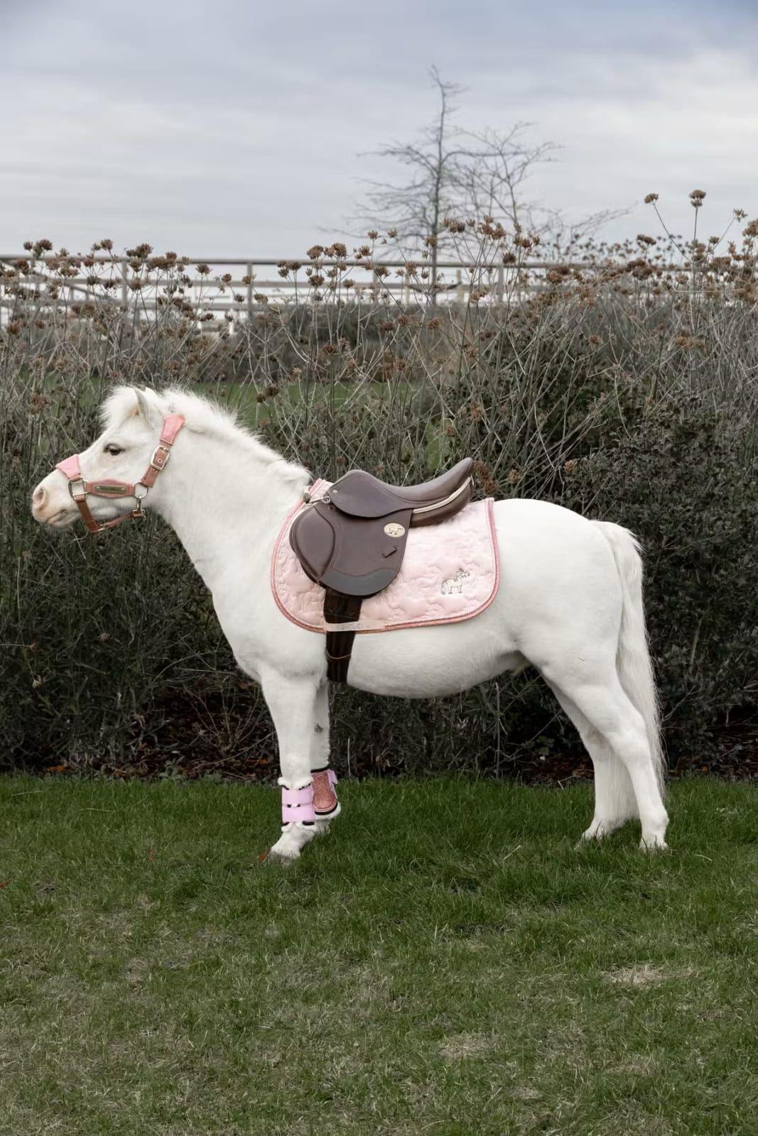 Kentucky Saddle Pad Unicorn Glitter Jumping - Løwenborg - Kentucky Horsewear