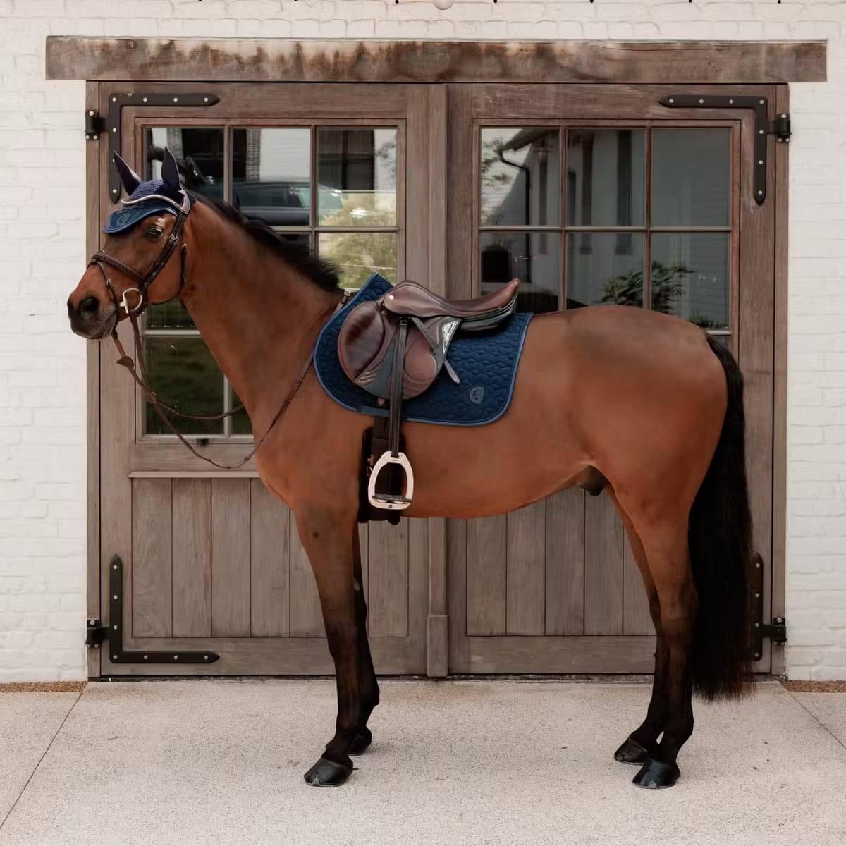 Kentucky Saddle Pad Sparkling Jumping - Løwenborg - Kentucky Horsewear