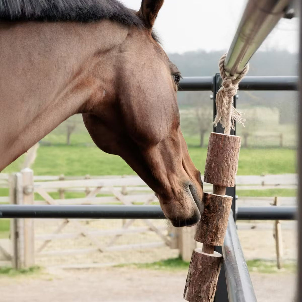 Grooming Deluxe Wooden Relax Horse Toy
