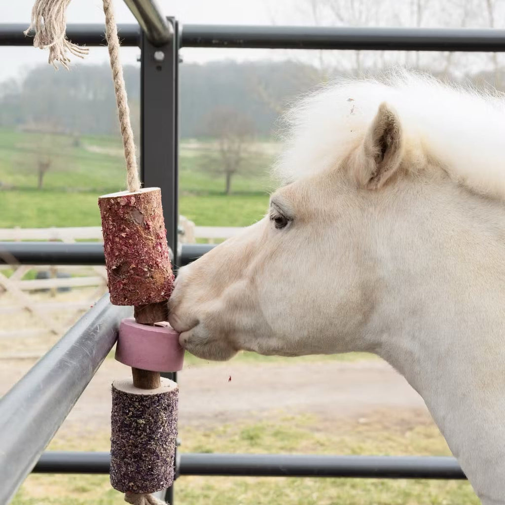 Grooming Deluxe Wooden Relax Horse Toy with Salt lick - Løwenborg - Grooming Deluxe