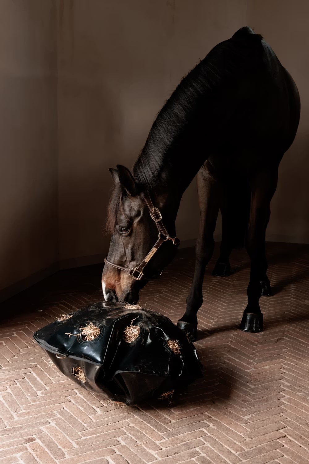Grooming Deluxe Play & Haybag Slowfeeder Round - Løwenborg - Grooming Deluxe