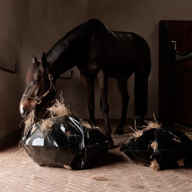 Grooming Deluxe Play & Haybag Slowfeeder Round - Løwenborg - Grooming Deluxe
