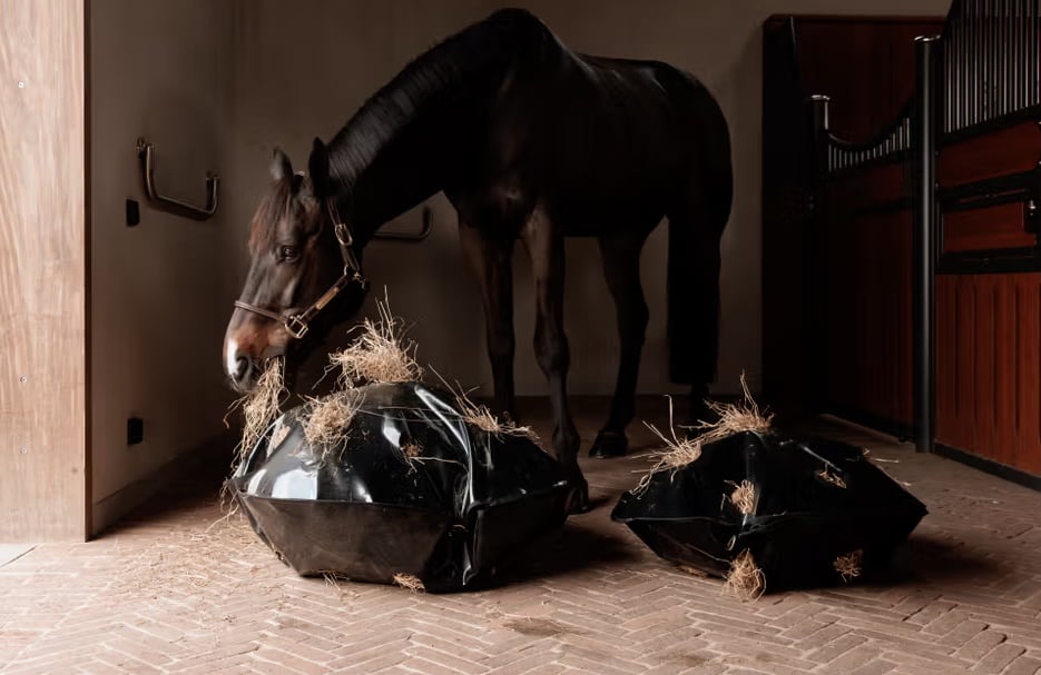 Grooming Deluxe Play & Haybag Slowfeeder Round - Løwenborg - Grooming Deluxe