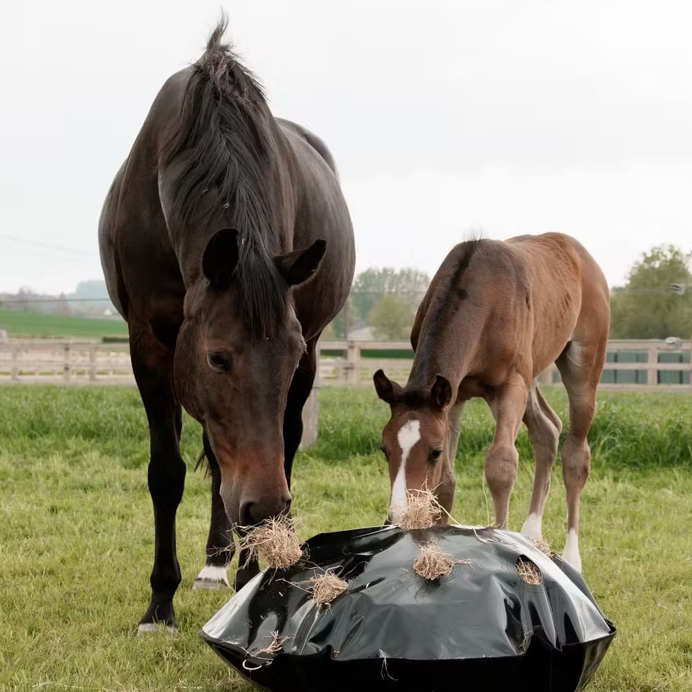 Grooming Deluxe Play & Haybag Slowfeeder Round - Løwenborg - Grooming Deluxe