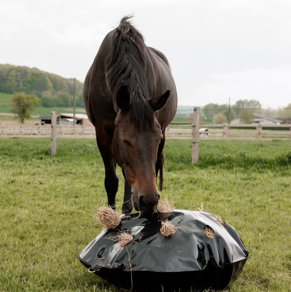 Grooming Deluxe Play & Haybag Slowfeeder Round - Løwenborg - Grooming Deluxe