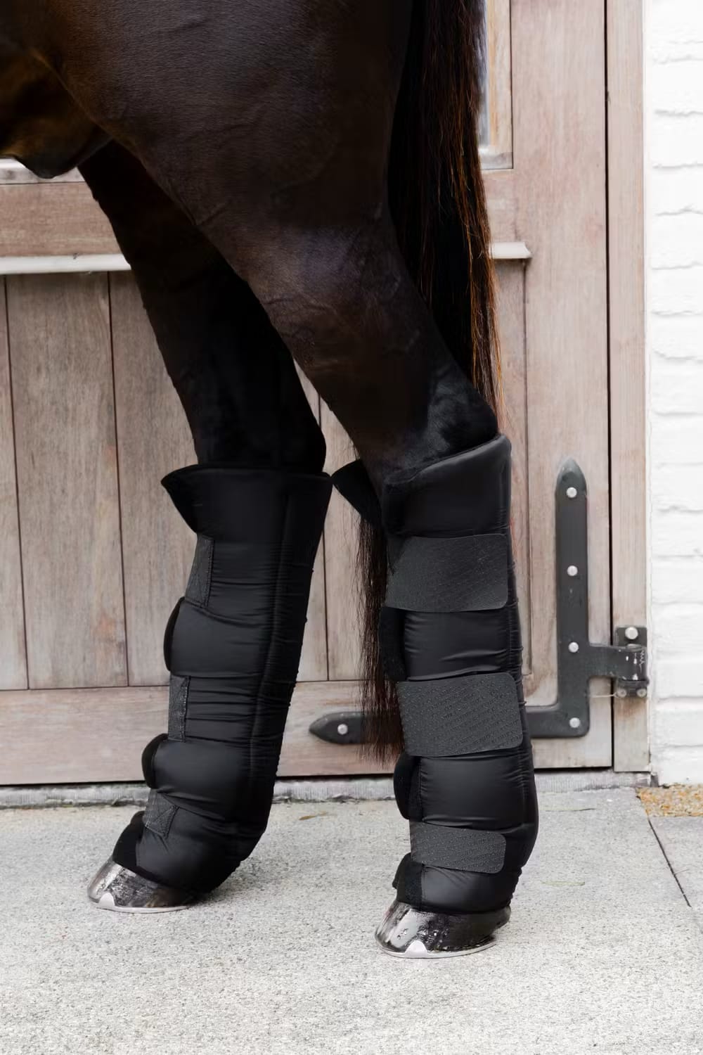 Kentucky Stable Boots PROtect Long Hind - Løwenborg - Kentucky Horsewear