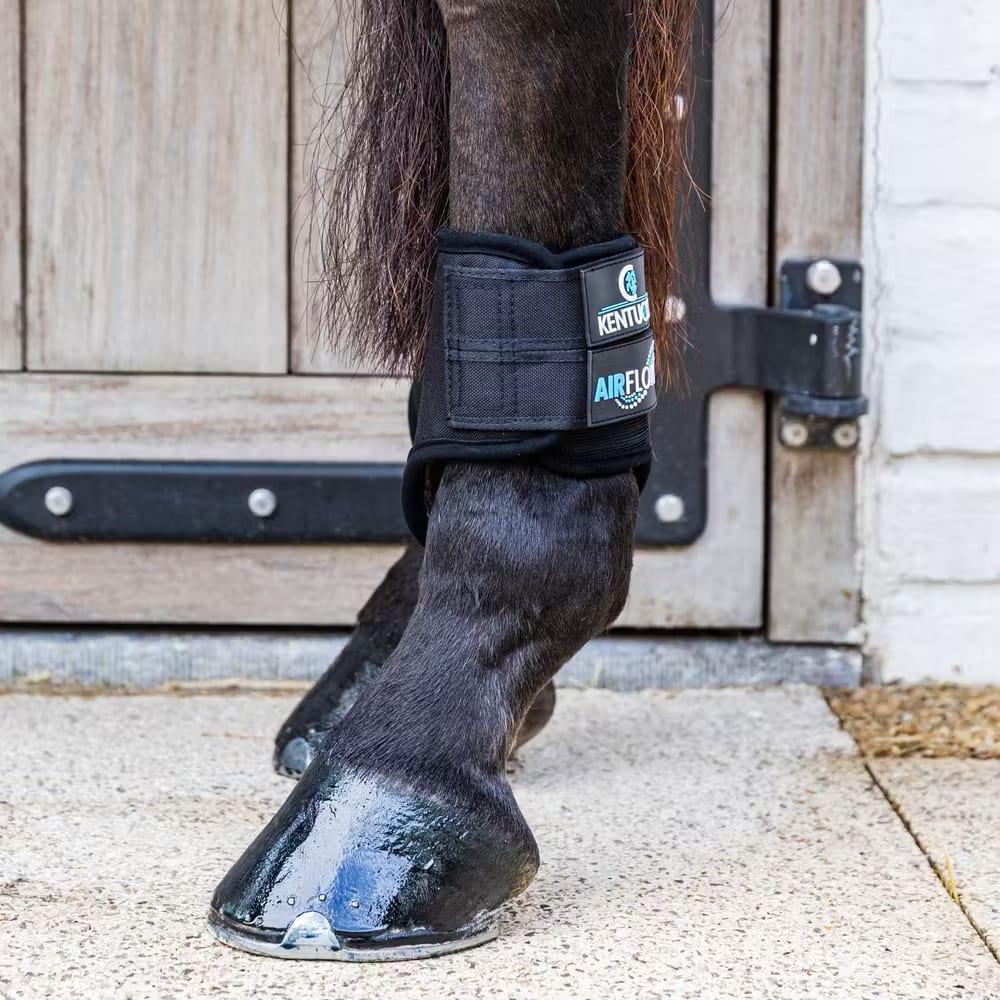 Kentucky Eventing Boots 3D Air Flow Hind Short - Løwenborg - Kentucky Horsewear
