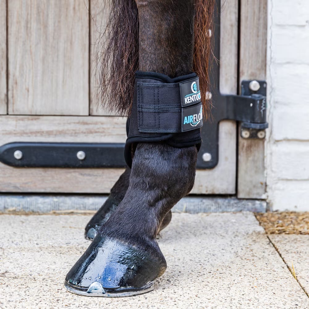 Kentucky Eventing Boots 3D Air Flow Skin Friendly Hind Short - Løwenborg - Kentucky Horsewear