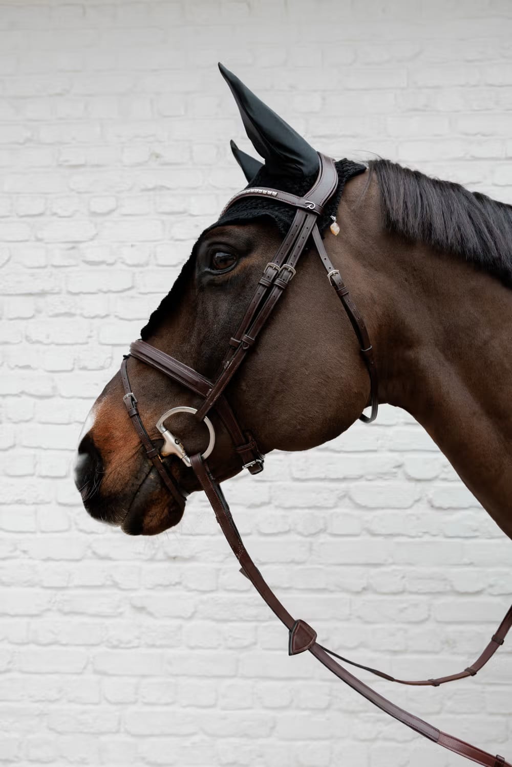 Kentucky Lucky Charm Stone - Løwenborg - Kentucky Horsewear