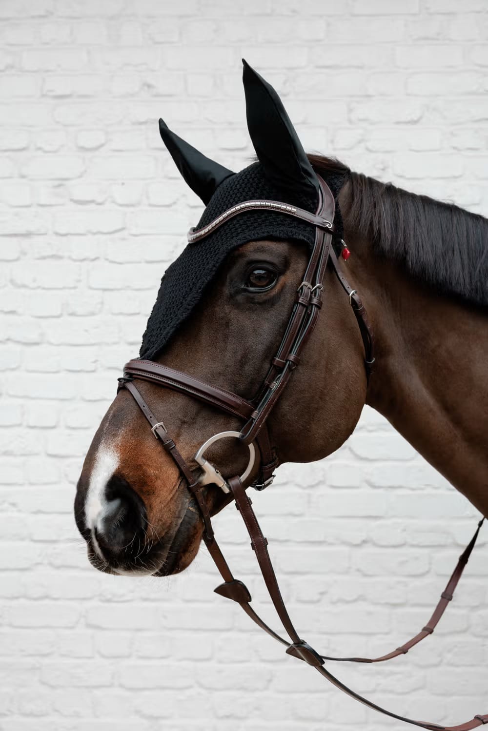 Kentucky Lucky Charm Stone - Løwenborg - Kentucky Horsewear