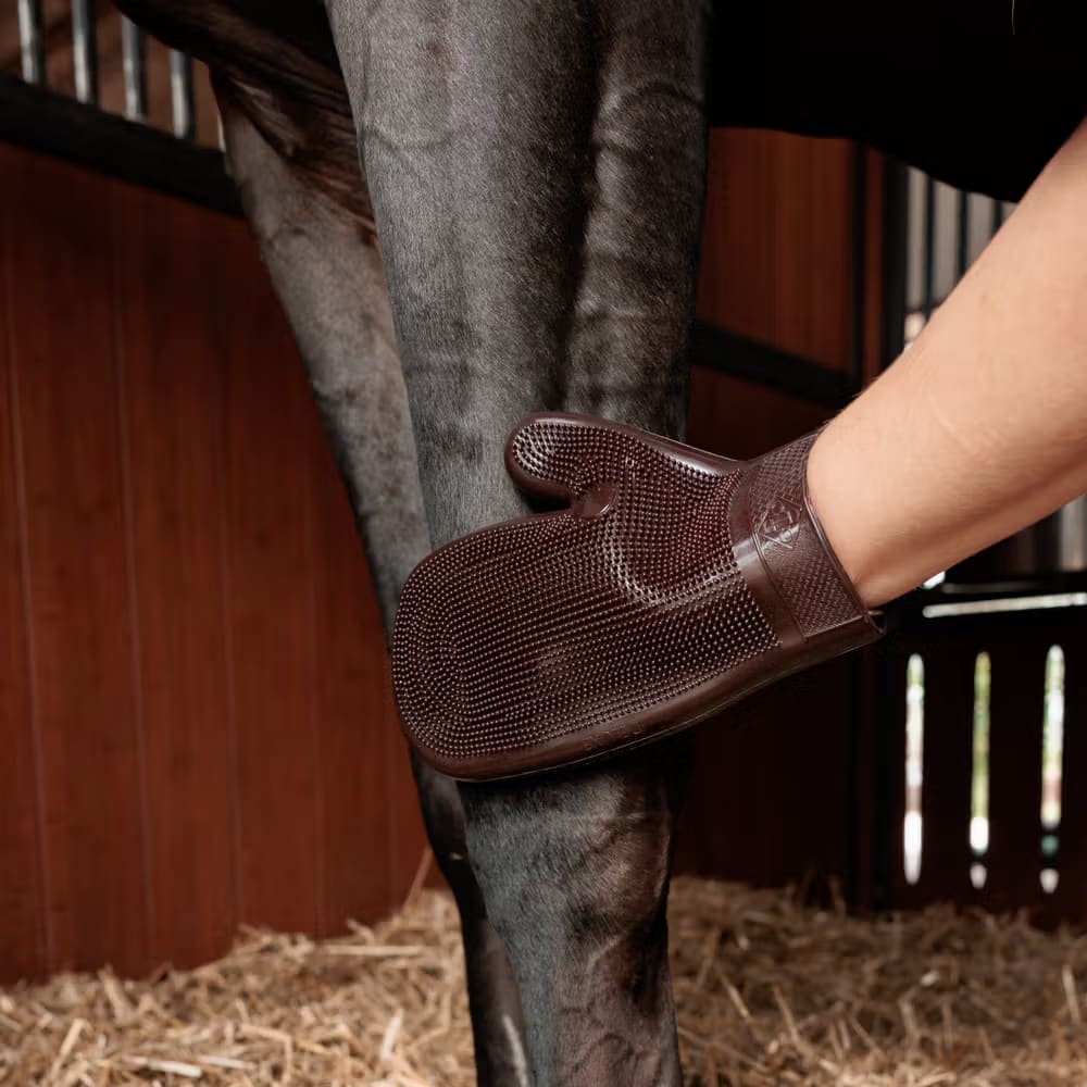 Grooming Deluxe Rubber Grooming Glove - Løwenborg - Grooming Deluxe