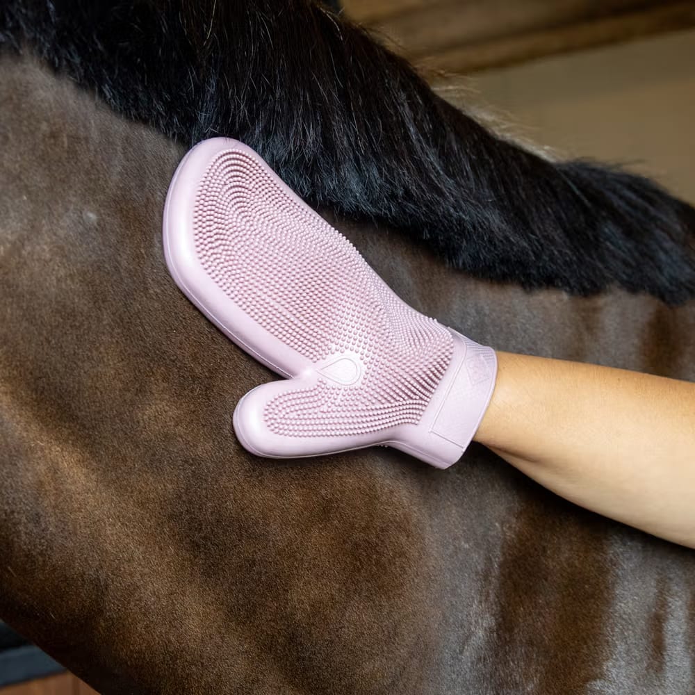 Grooming Deluxe Rubber Grooming Glove - Løwenborg - Grooming Deluxe
