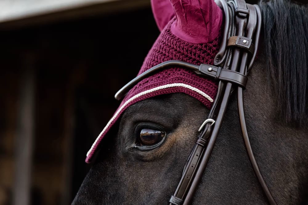 Kentucky Fly veil Wellington Velvet - Løwenborg - Kentucky Horsewear