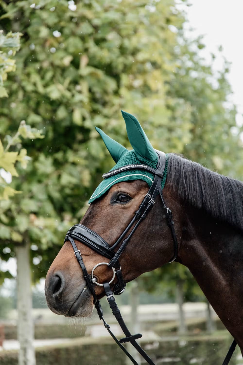 Kentucky Fly veil Wellington Velvet - Løwenborg - Kentucky Horsewear