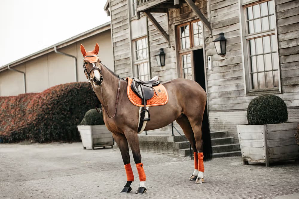 Kentucky Fly veil Wellington Velvet - Løwenborg - Kentucky Horsewear